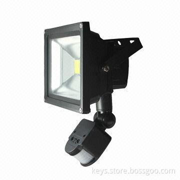 Top Quality Led Floodlight, 10W/20W/30W/50W/60W PIR, RGB, Classic Models